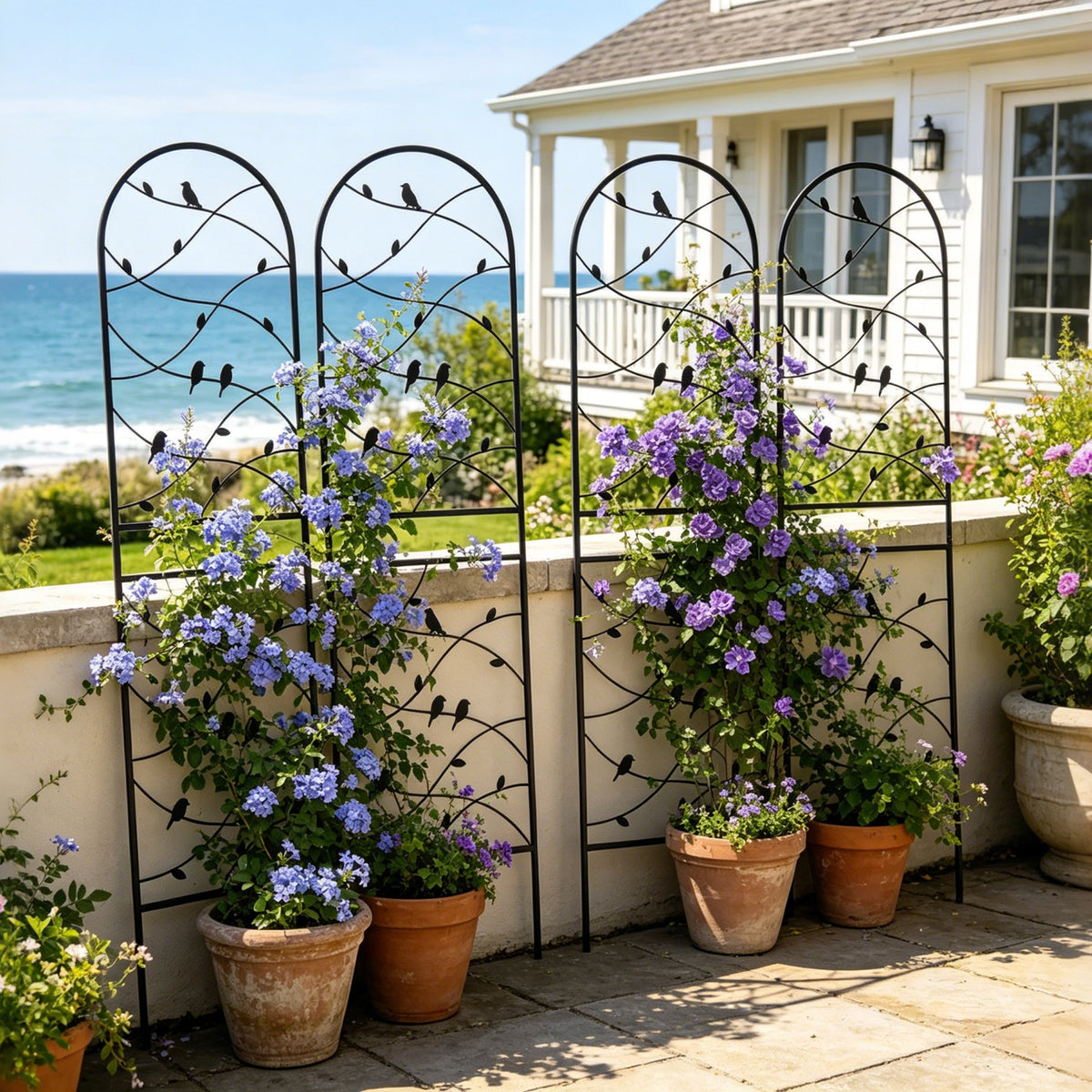 Black metal plant support trellis covered with blooming clematis and climbing ivy vines