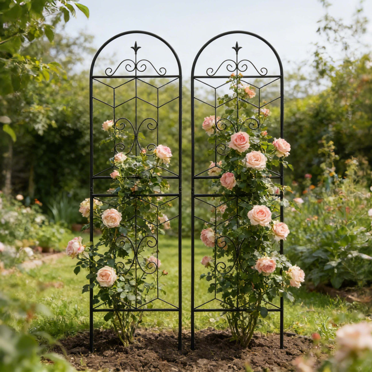 Pair of black metal plant trellises staked into a outdoor garden bed with blooming flowers