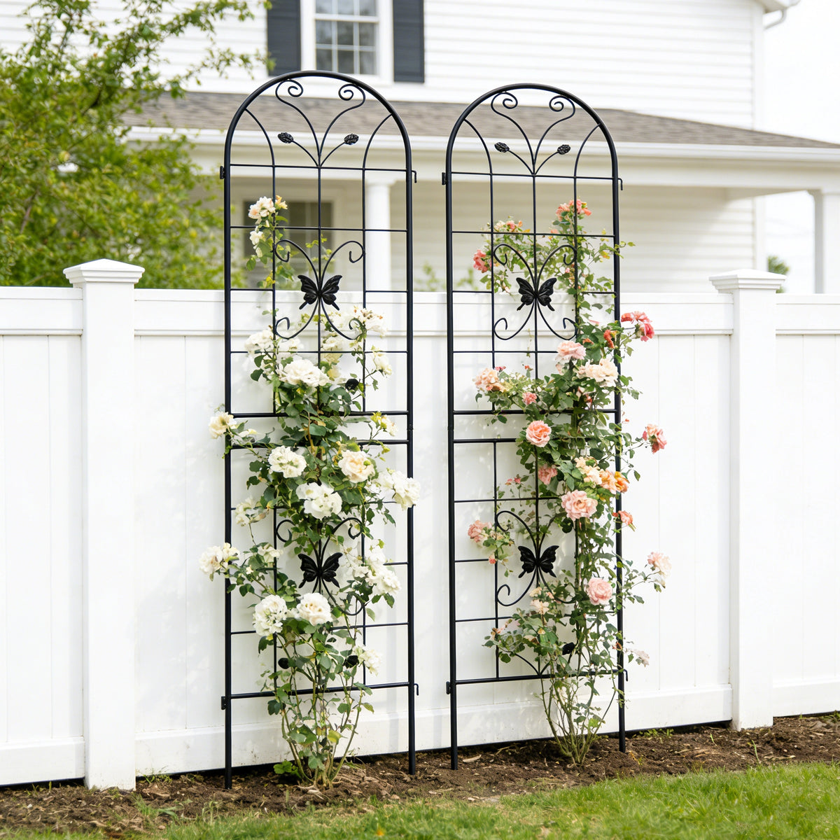 Metal Garden Trellis, with Butterfly Decor for Climbing Plants