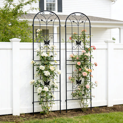 Metal Garden Trellis, with Butterfly Decor for Climbing Plants