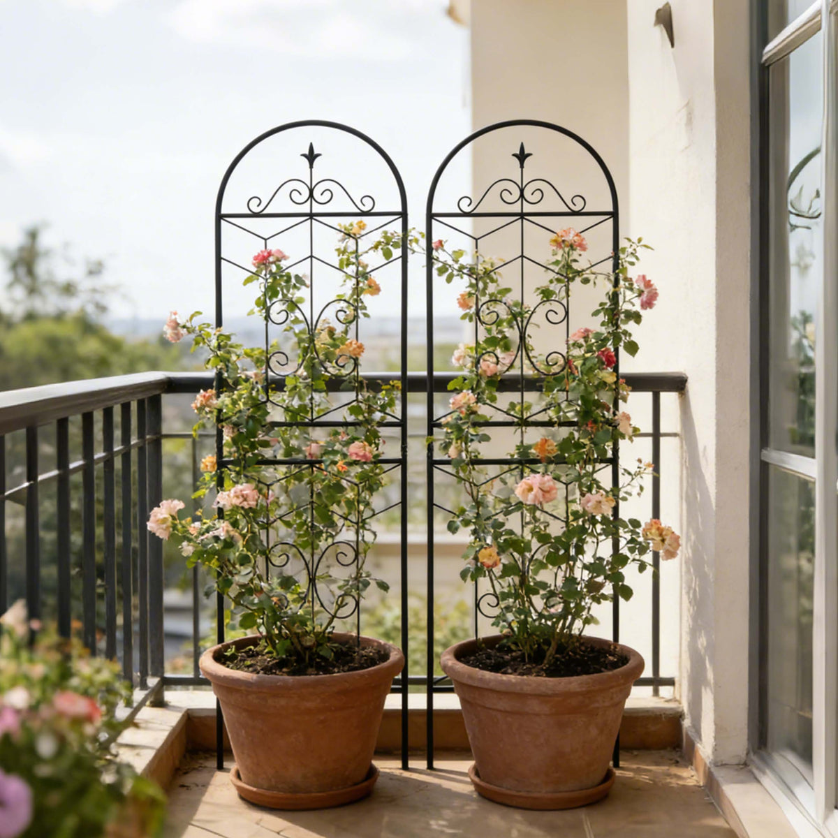 Black metal garden trellis inserted into a large patio plant pot for vertical climbing support