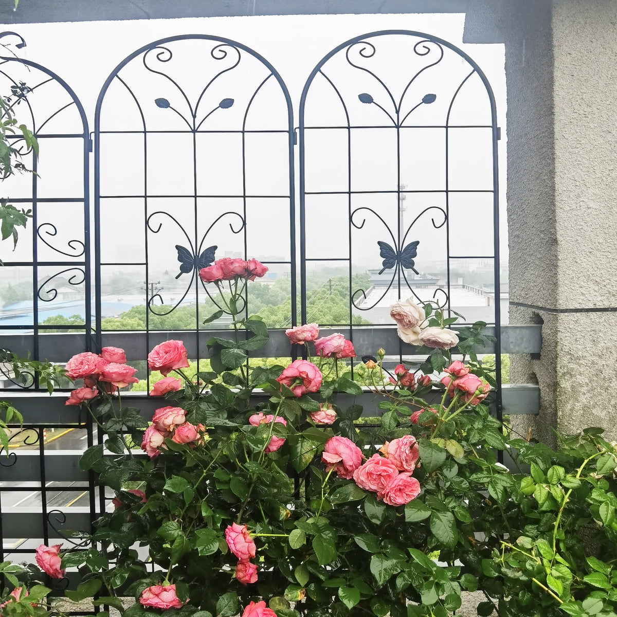 Close-up of a decorative metal butterfly ornament attached to a black plant trellis frame